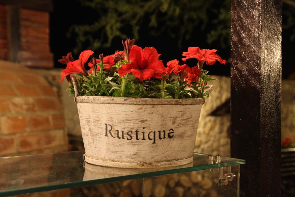 Rixo'S Guesthouse Cîrcea Kültér fotó