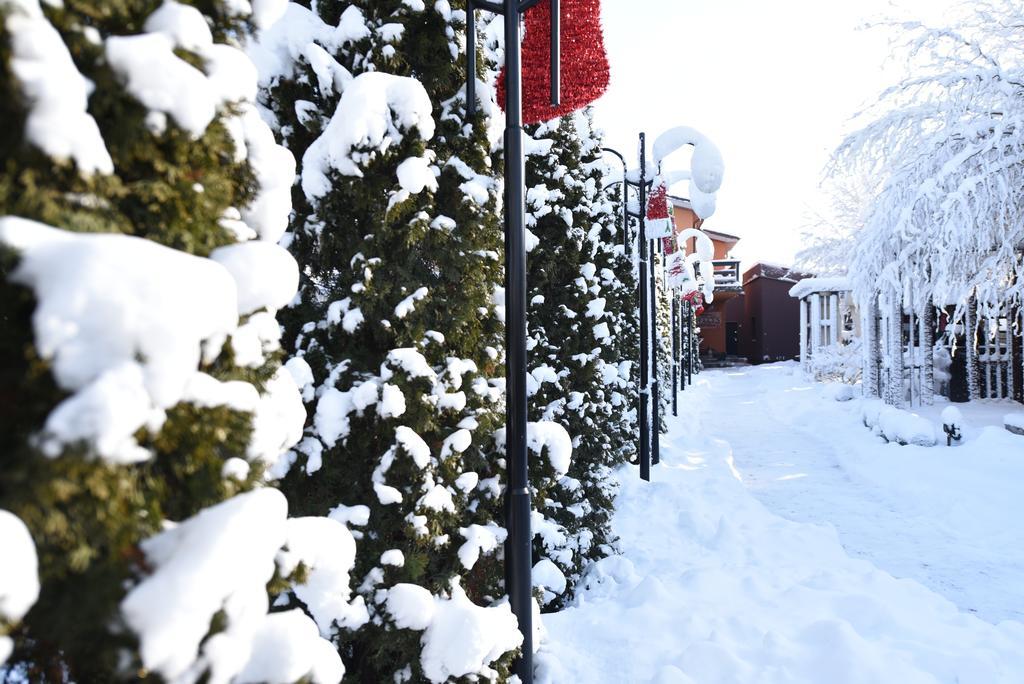 Rixo'S Guesthouse Cîrcea Kültér fotó